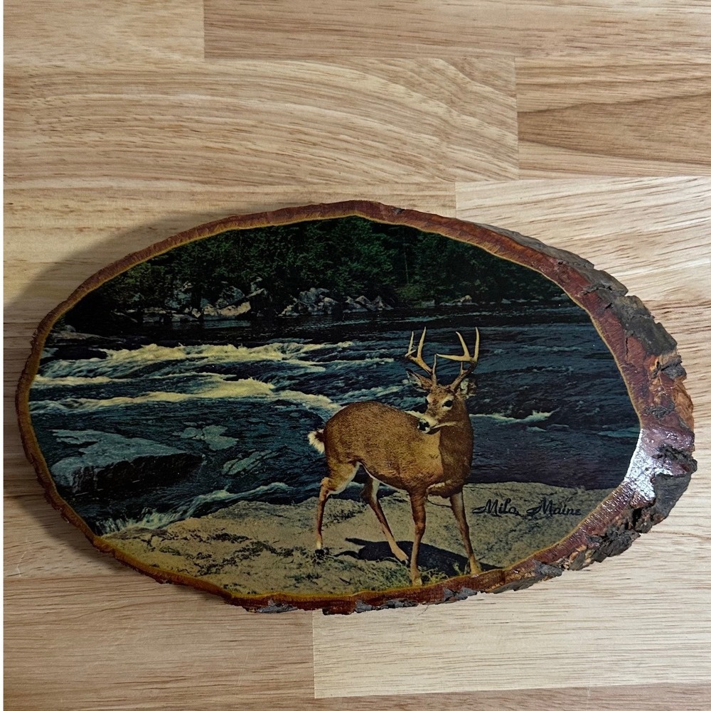 Vintage Milo Maine Buck Deer on River Bank Wood Slab Wall Plaque Cabin Decor USA